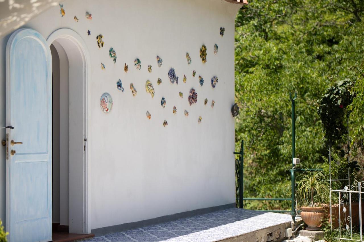 B&B Dormidame' Positano Dış mekan fotoğraf