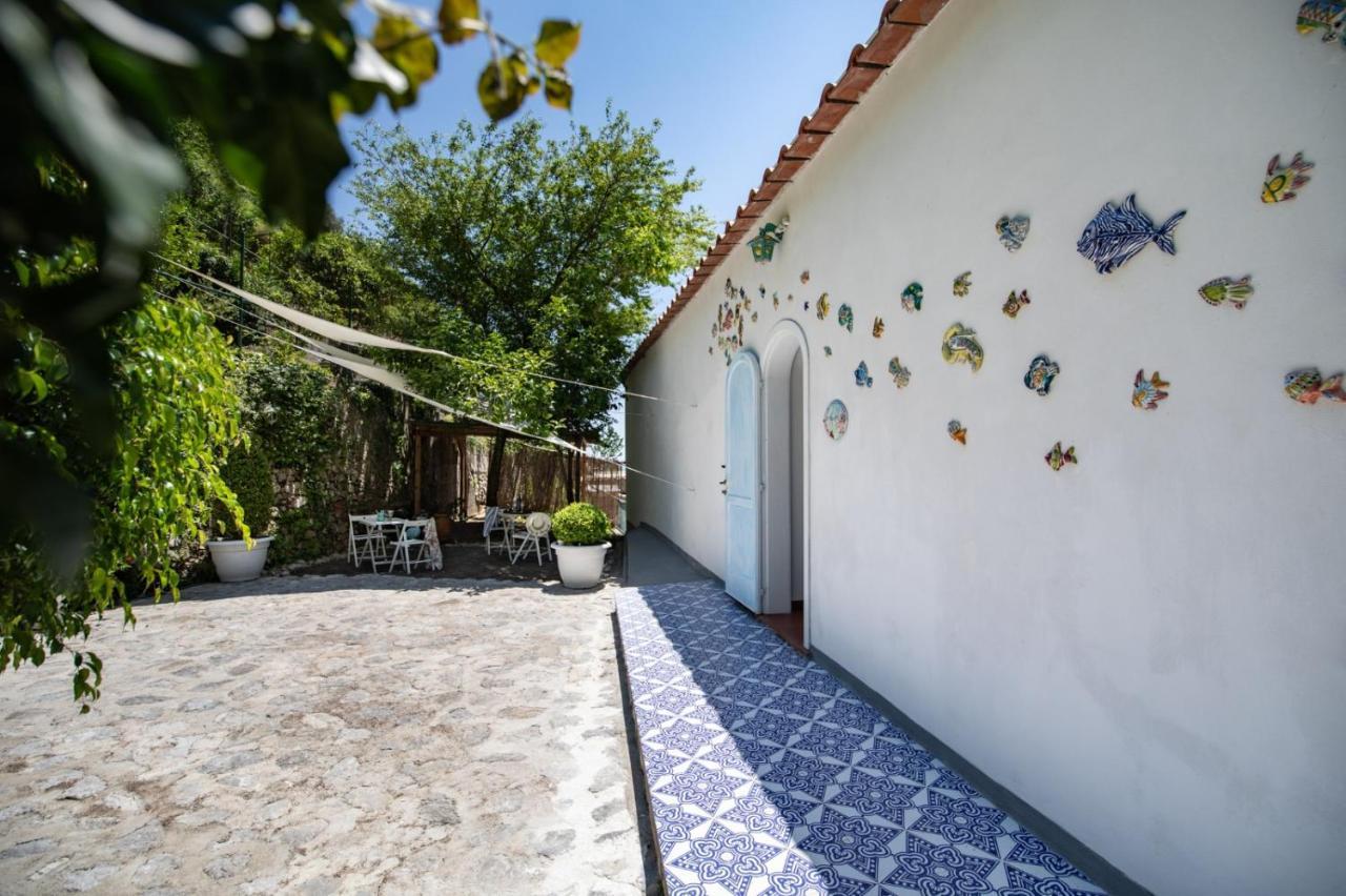B&B Dormidame' Positano Dış mekan fotoğraf